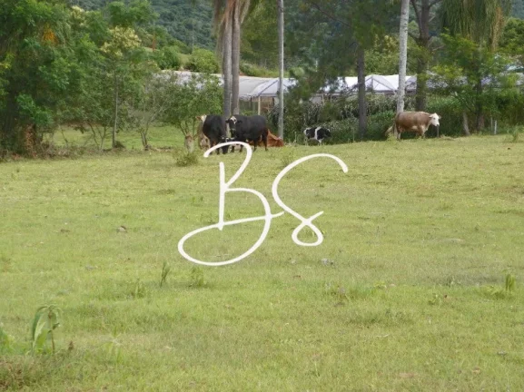 Imagem SITIO RURAL em NOVA PETRÓPOLIS - RS, Linha Temerária
