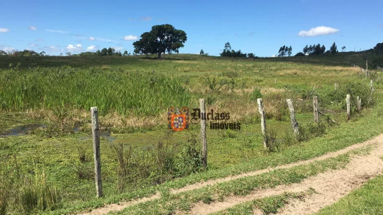 Imagem Fazenda à venda, 52 alqueires por R$ 9.100.000 - Estrada de São Vicente - Araruama/RJ
