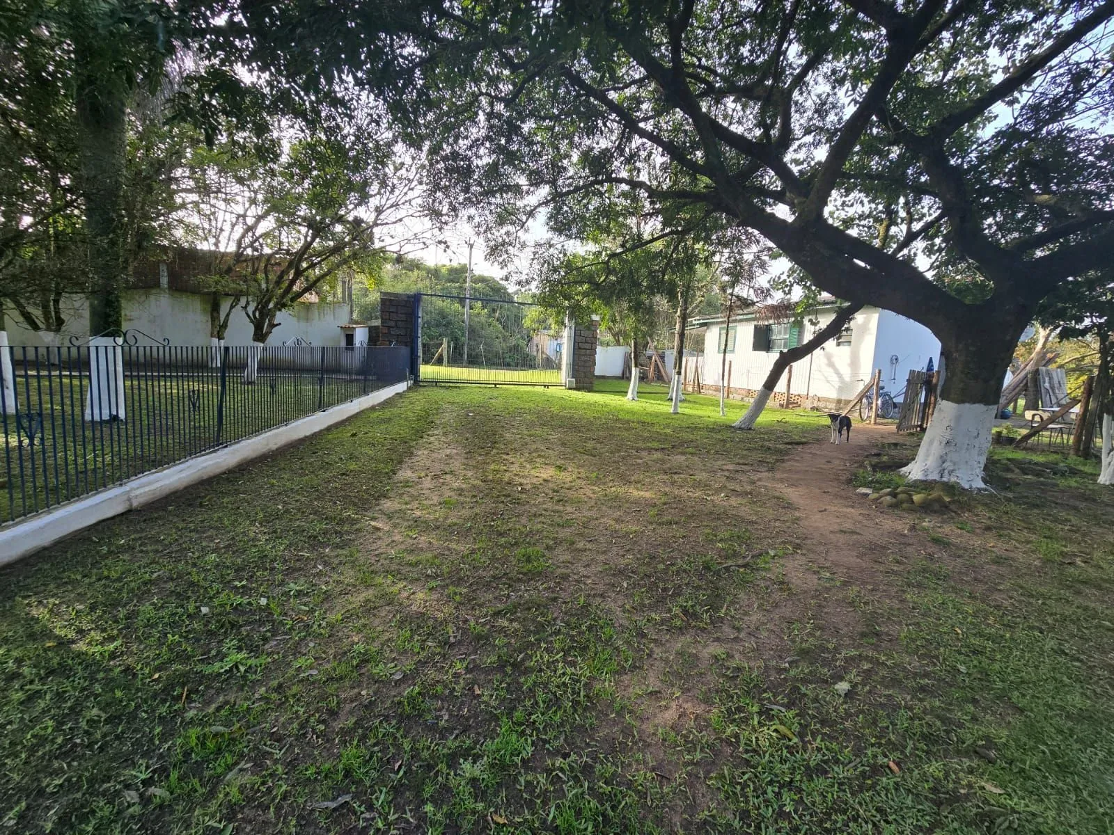 Imagem Sitio na Restinga com 2 casas e ótima oportunidade para investimento