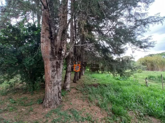 Imagem Área à venda, 21140 m² por R$ 2.500.000,00 - dos Pessegueiros - Extrema/MG