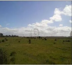 Imagem Area para Venda - 1.100.000m², Vila Santa Rosa