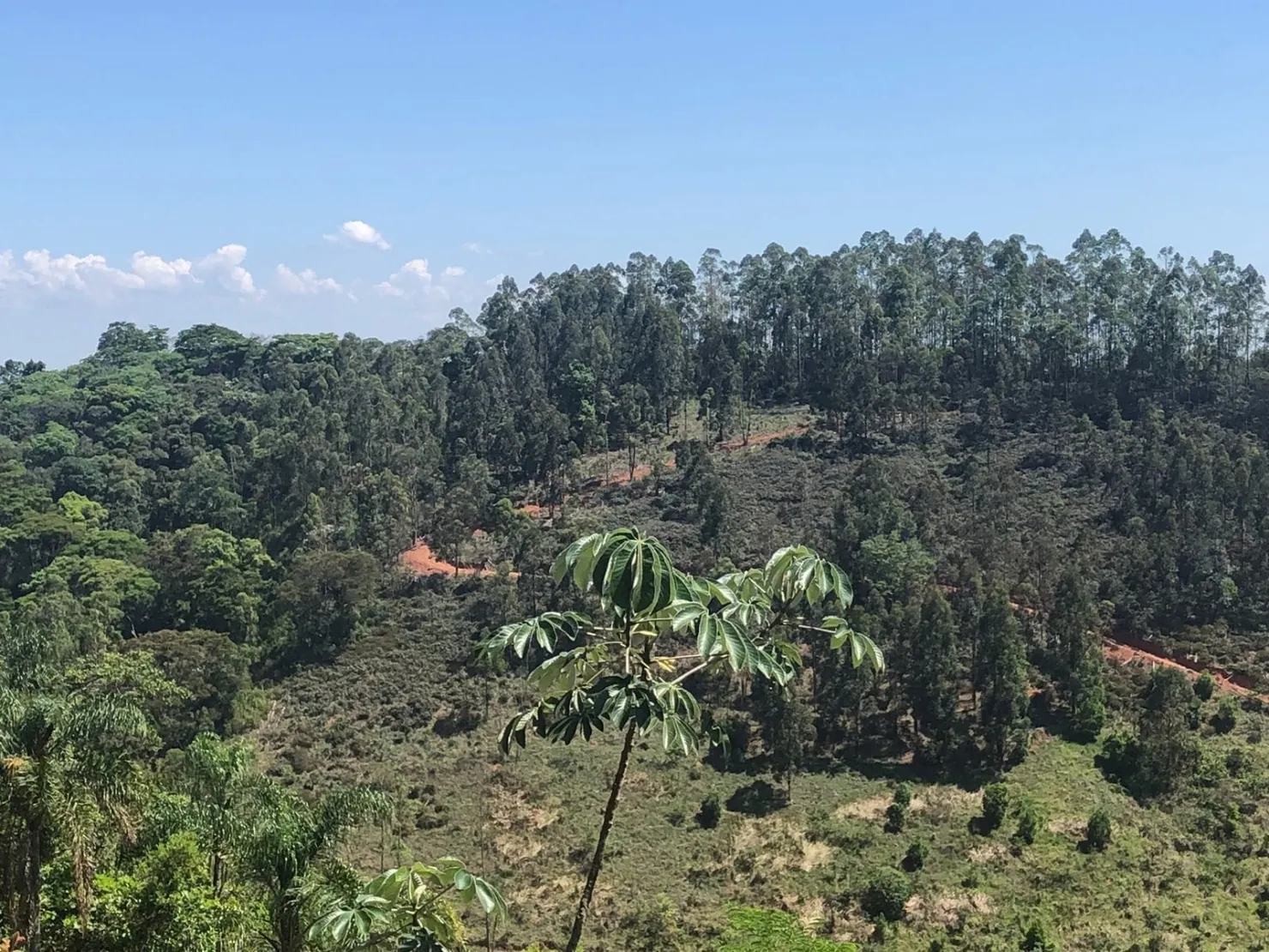 Imagem Sítio com 9 Alqueires em Ribeirão Grande com Abundância de Água