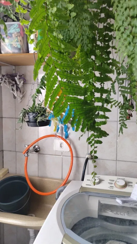 Imagem Apartamento à venda em Santo André-SP, Jardim Alvorada: 2 quartos, 1 banheiro, 1 vaga, 51m²!