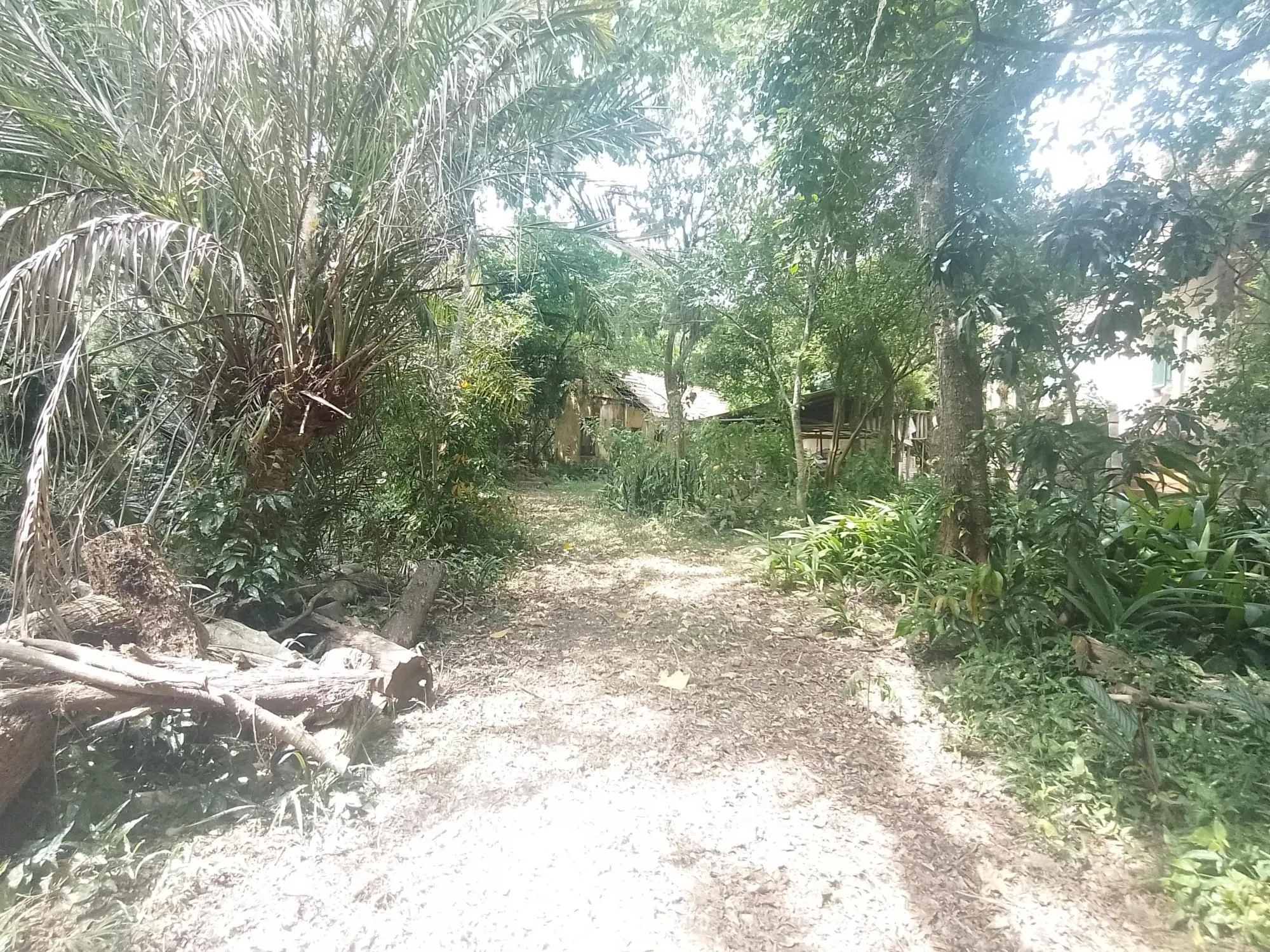 Imagem Terreno com área de 3.600m2 com 43m de margem no Rio Guaíba