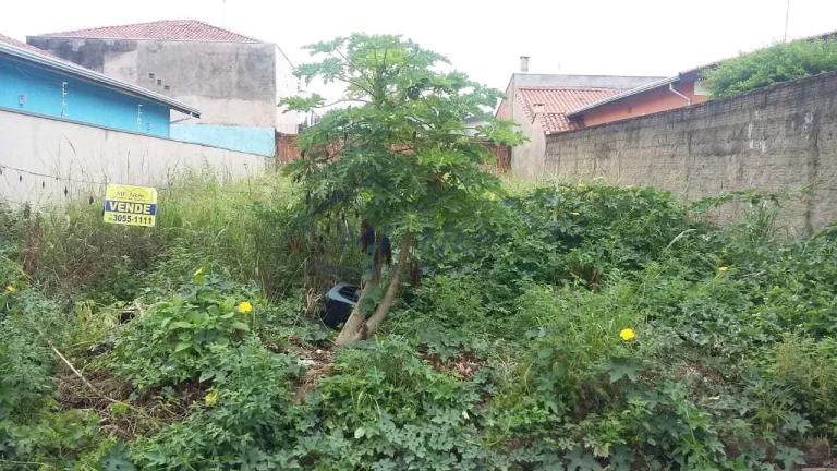 Imagem Terreno Padrão