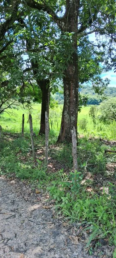 Imagem Sítio a venda de 8,6 hectares (86.000 m²) em Brumadinho/MG,