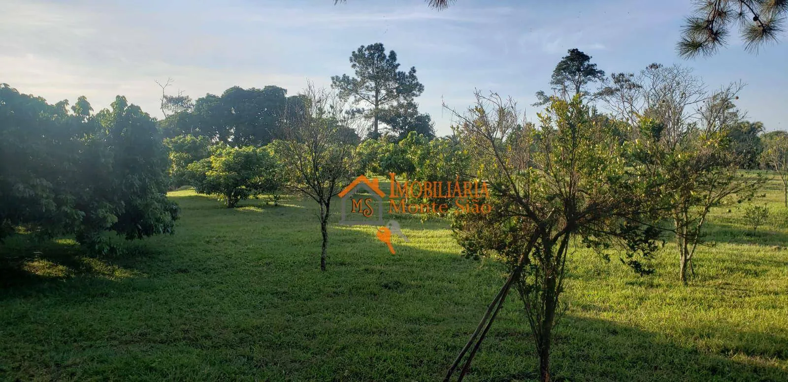 Imagem Sítio com 6 dormitórios à venda, 36000 m² por R$ 2.502.750,00 - Colônia Agrícola Itapeti - Mogi das Cruzes/SP