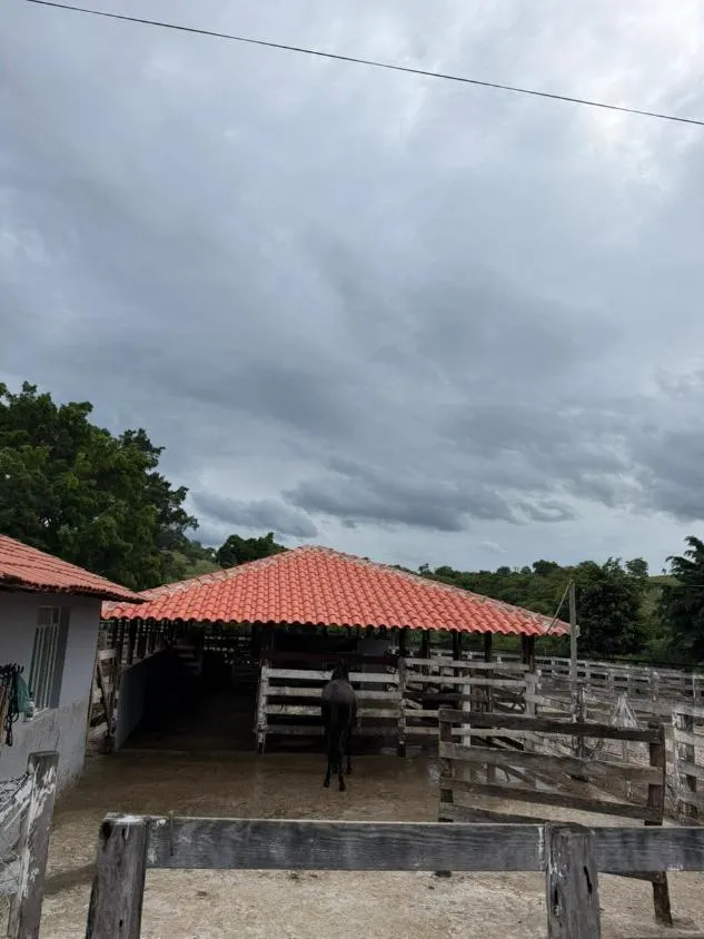 Imagem Fazendinha de Alto Padrão à Venda em Nova Serrana/MG 50 hectares de terra