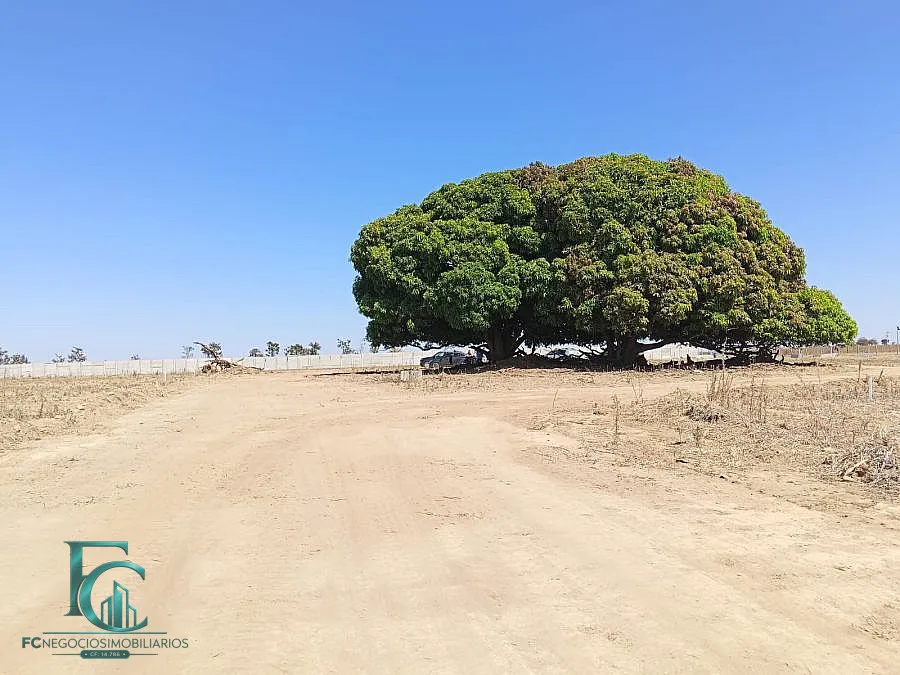 Imagem FAZENDA DAS FLORES - SEU CONDOMÍNIO DE CHÁCARAS!