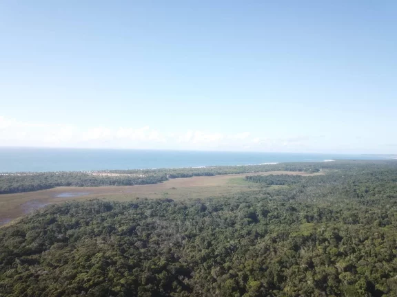 Imagem TOPO DE MORRO EM ALGODÕES