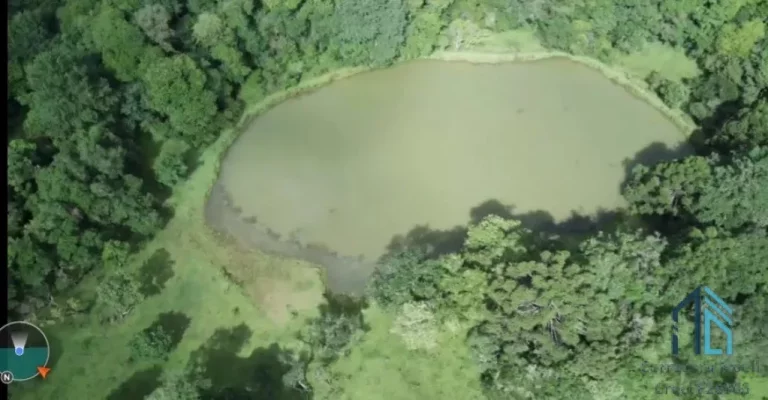 Imagem Chácara oportunidade de Ouro, bem localizada na estrada Cabeça D'anta, Bocaiúva do Sul com 09(nove) alqueires,