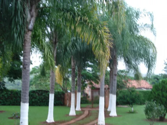Imagem Chácara com 1 Quarto à Venda, 200 m² em Cercado - Araçoiaba da Serra