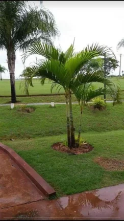 Imagem Iacanga/SP, Condomínio Varandas do Tietê, terreno 900m²