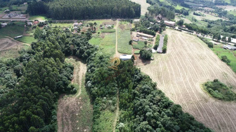 Imagem Terreno para Venda em Concórdia, Rural
