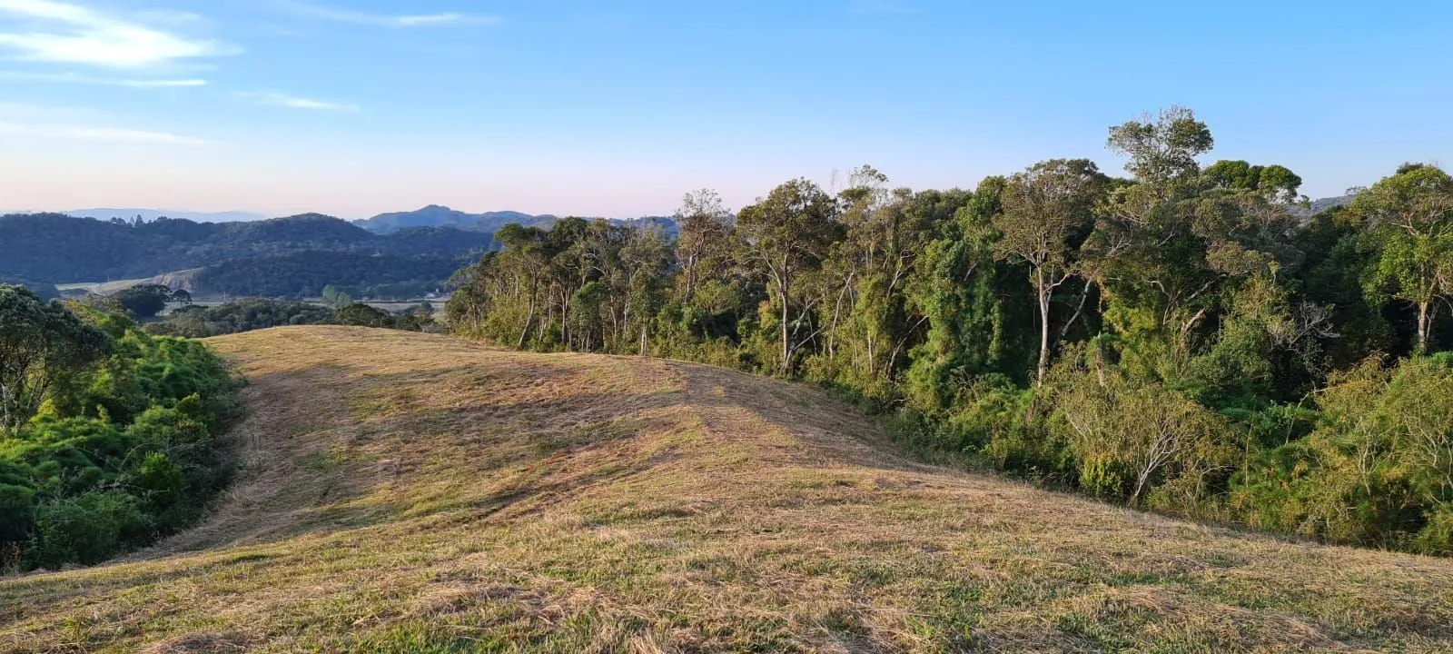 Imagem Oportunidade Única! Terreno com 4 Lagos e Escritura Pública em Rancho Queimado - 27,6 ha