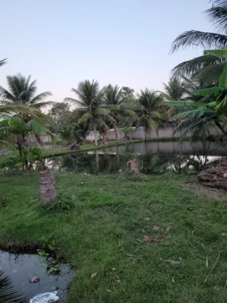 Imagem CHACARA GRANDE A VENDA EM CAMARUGI GUARAPARI -ES