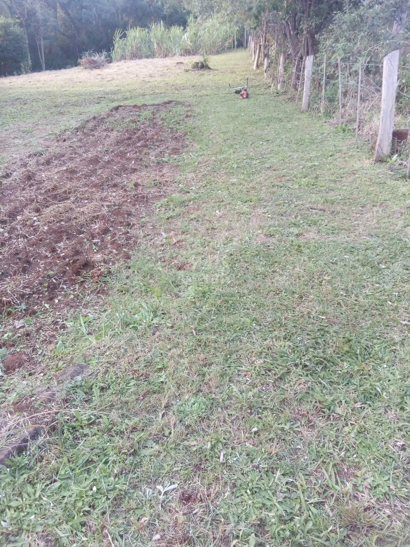 Imagem Chácara para venda em Rolante (8.000m²)