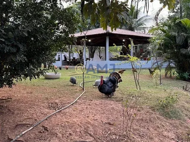 Imagem Área à venda, 21010 m² por R$ 1.450.000,00 - Chácara São Pedro - Aparecida de Goiânia/GO
