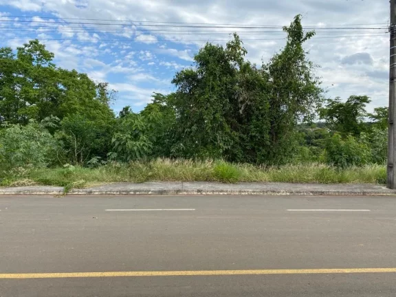 Imagem Terreno para Venda em Concórdia, Jardim