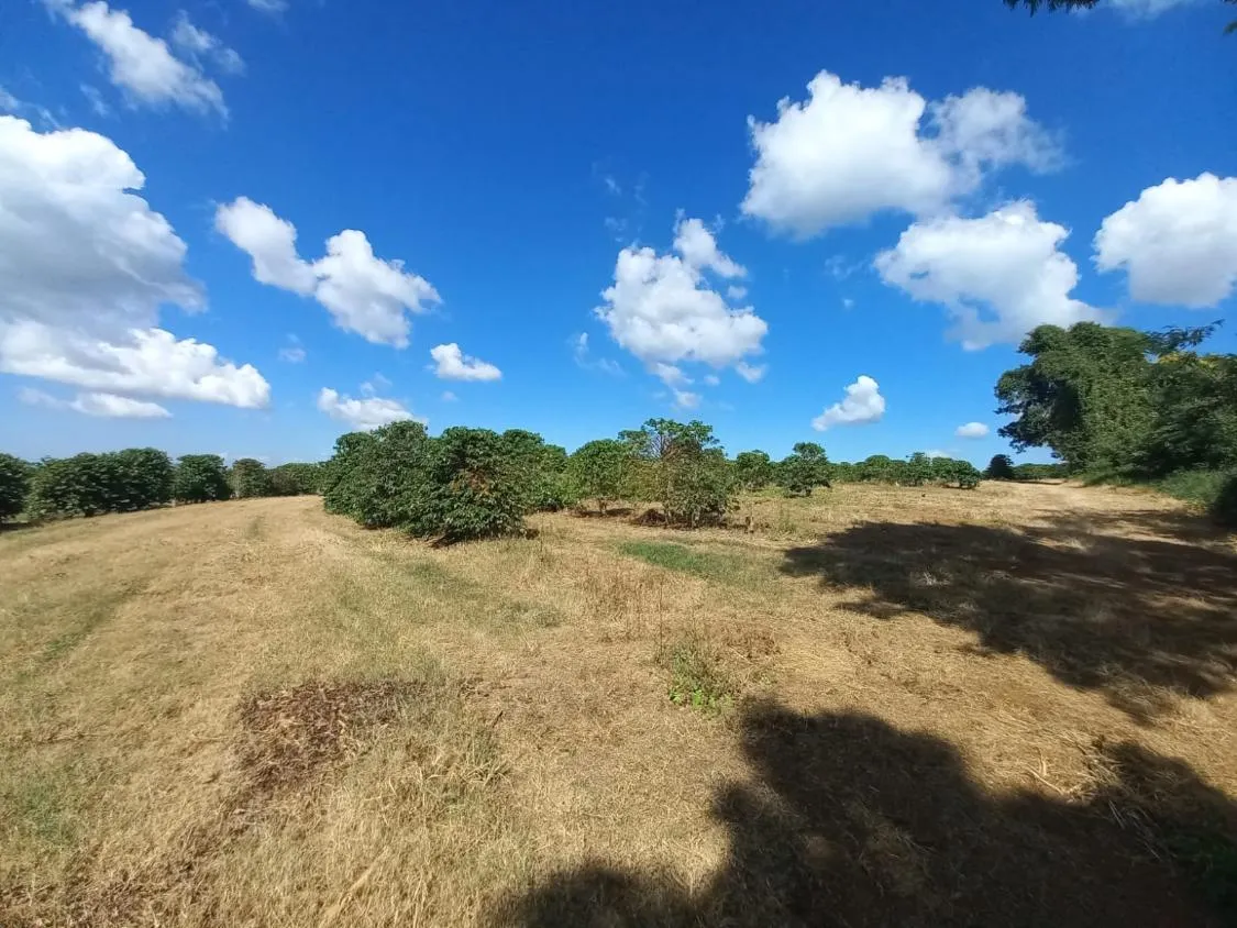 Imagem FAZENDA À VENDA - SANTO ANTÔNIO DO AMPARO (MG) 948 hectares de área total