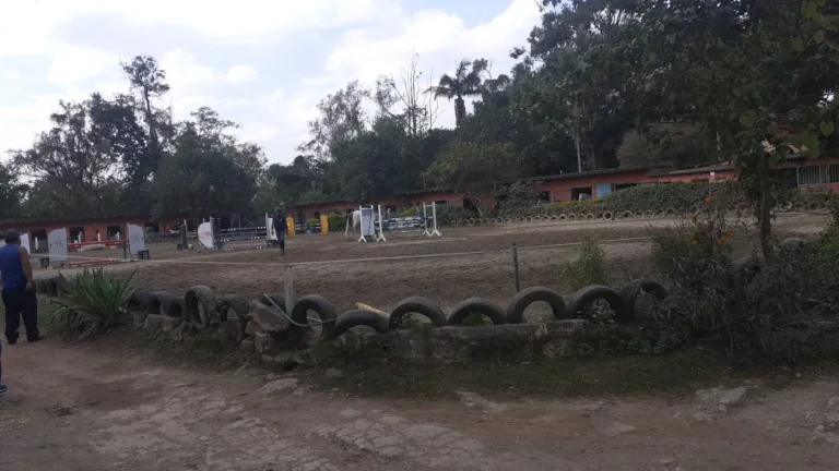 Imagem Haras para Venda em São Bernardo do Campo, Balneária