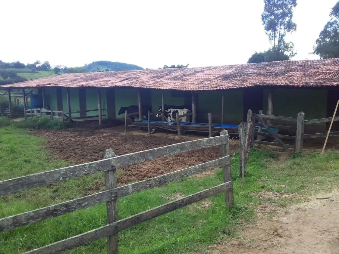Imagem Terreno Espetacular à Venda em Carmópolis de Minas /MG 42 hectares de terra