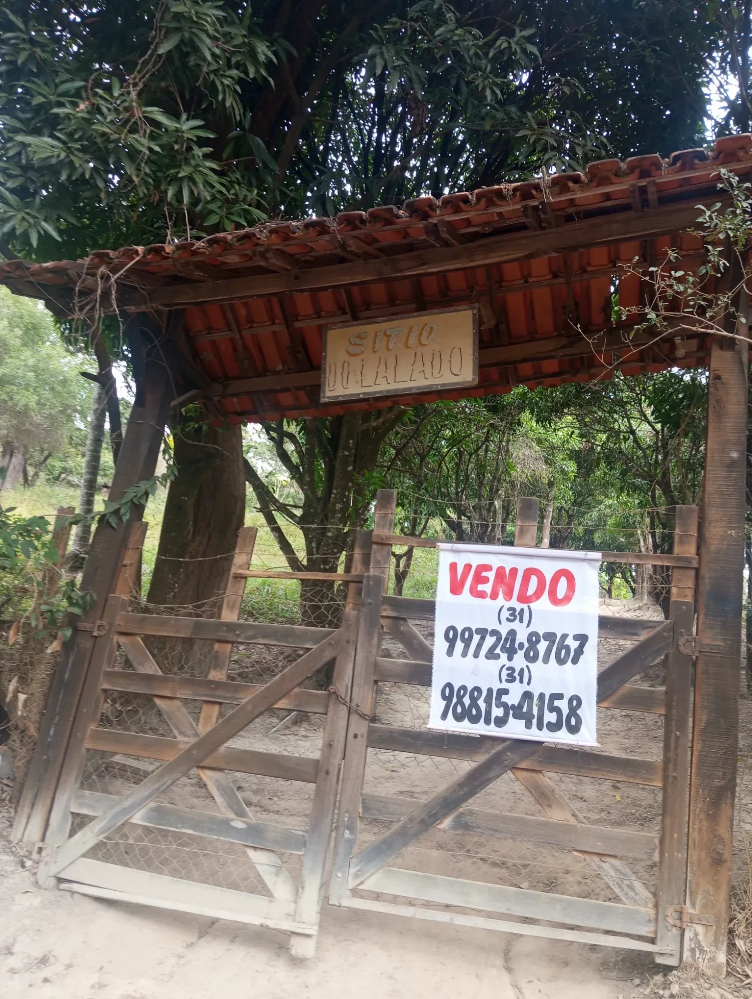 Sítio à Venda, 20000 metros em Nova União - Nova União