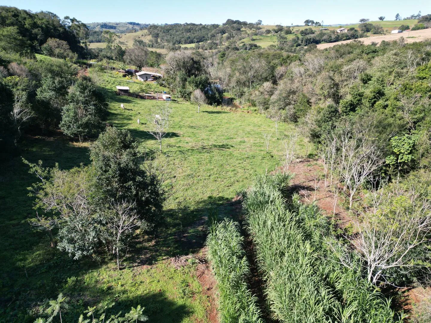 Imagem Chácara à venda em Lindoeste, 9 Km do Centro - 150m² - Piscina, Rio, Lago para pesca
