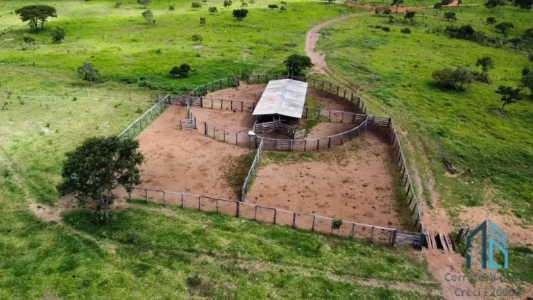 Foto do imóvel Fazenda com 168 alqueires goianos - 813 Hectares; - Município de Cocalzinho de Goiás GO