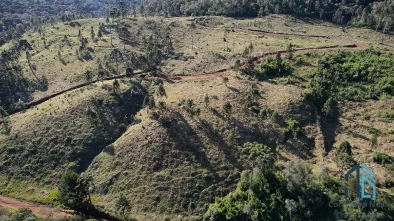 Imagem Terreno localização privilegiada, próxima à cidade e com potencial General Carneiro PR