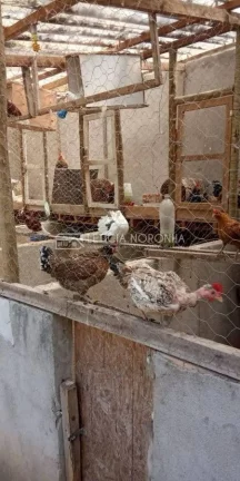 Imagem Sítio a venda