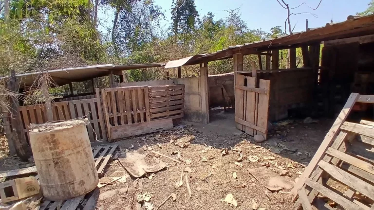 Imagem Chácara à venda em Goianésia/GO