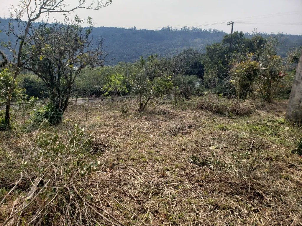 Imagem Terreno em Vila Nova