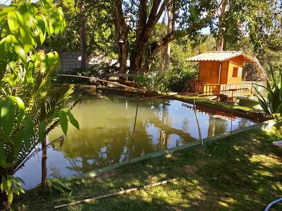 Imagem Vendo Sítio Espetacular em Itatiaiuçu/MG ,com 8.000 m² de área total,