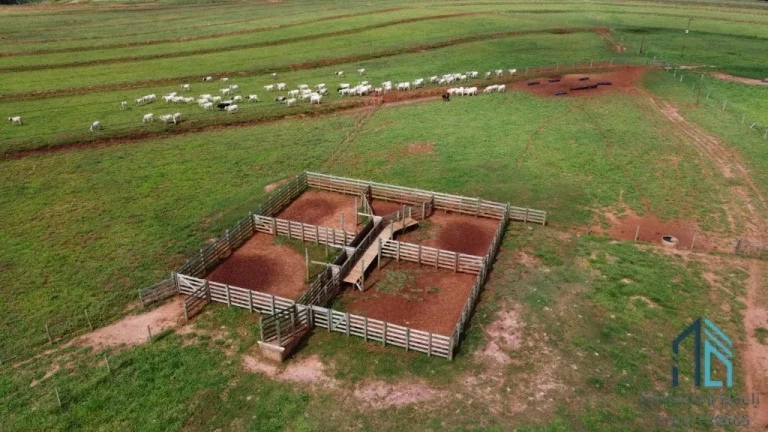 Imagem Fazenda, excelente área rural 87.5 alqueires em Ivaté, próximo a Umuarama no Parana Pr