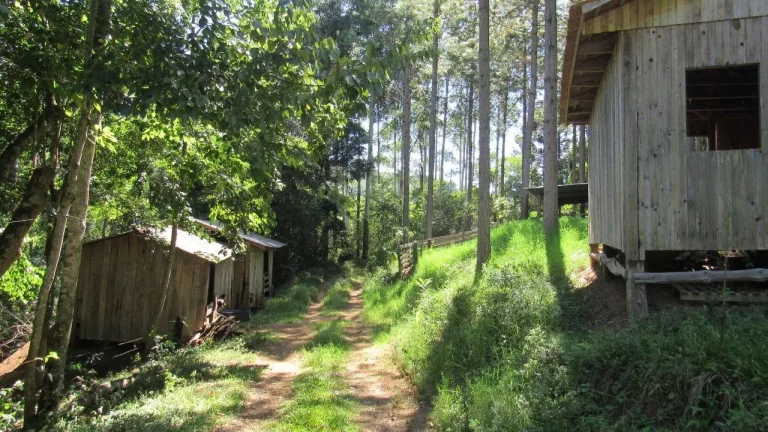 Imagem Área Agrícola para Venda em Jaborá, Rural