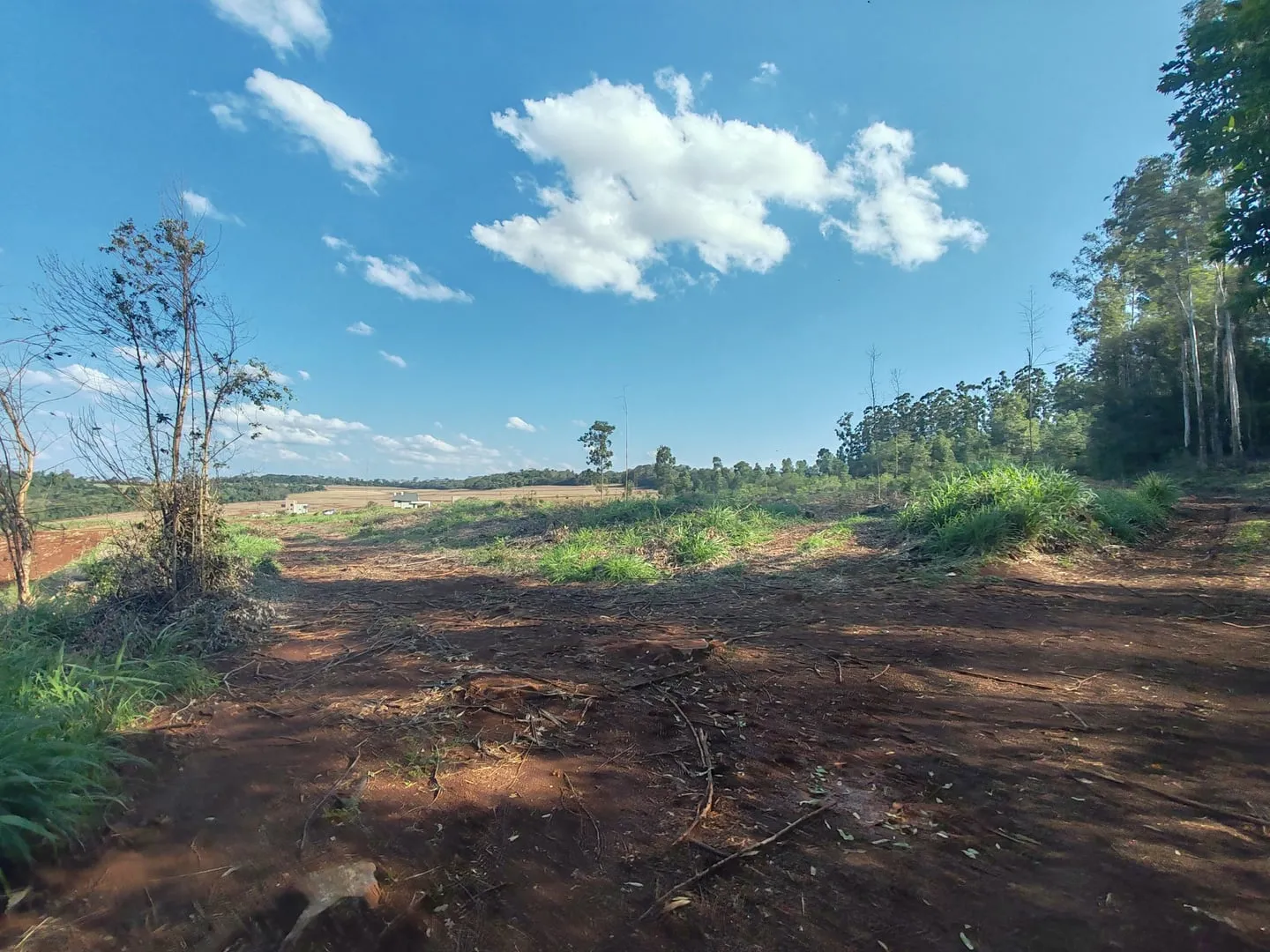 Imagem Chácara com 25.945 m² à venda em São Miguel do Iguaçu