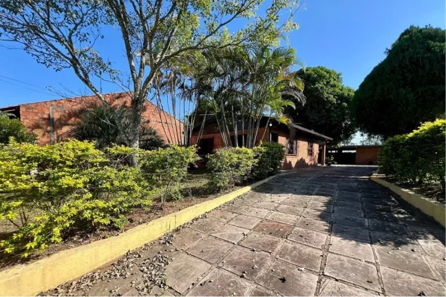 Imagem Fazenda/Sítio para venda no bairro Nova Santa Rita em Nova Santa Rita