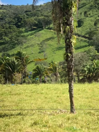 Imagem Fazenda à venda em Cocalzinho de Goiás/GO