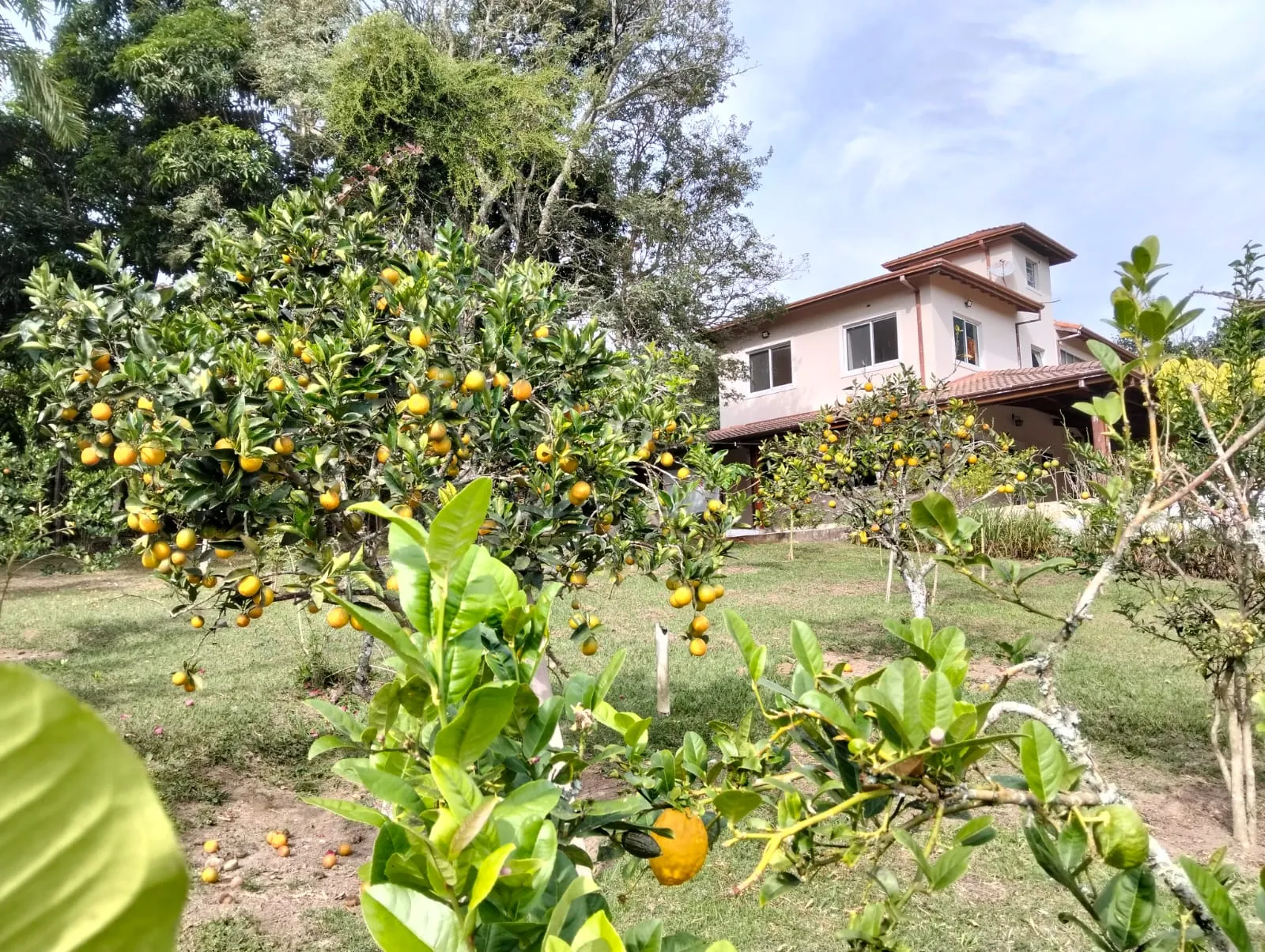 Imagem Linda Chácara no Bairro da Grama em Paraibuna - 6160 metros de terreno