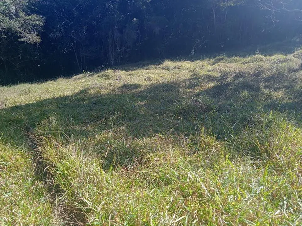 Imagem Venda de Fazenda em Crucilândia 48 hectares de terra