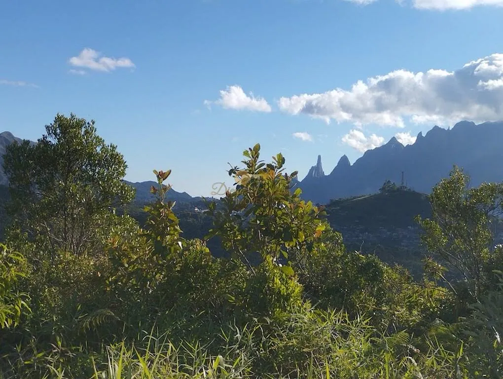 Imagem Terreno em Condomínio para Venda em Teresópolis / RJ no bairro Albuquerque