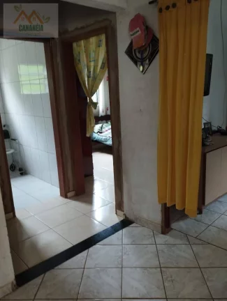 Imagem CHÁCARA CANANÉIA
