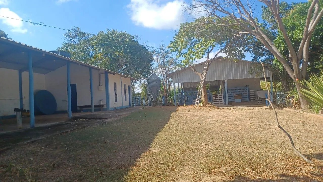 Imagem Vendo excelente fazendinha em Esmeraldas/MG 78 hectares de terra