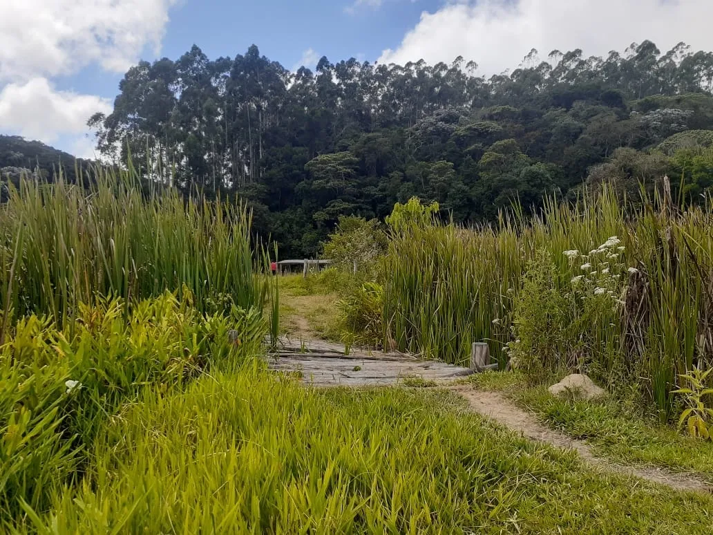 Imagem Chácara à venda 1700000M², Centro, São Luiz do Paraitinga - SP