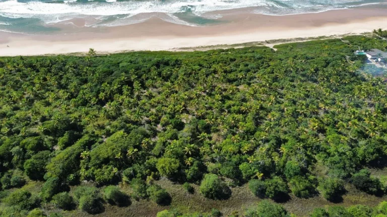 Imagem ÁREA FRENTE MAR (400m) - ALGODÕES
