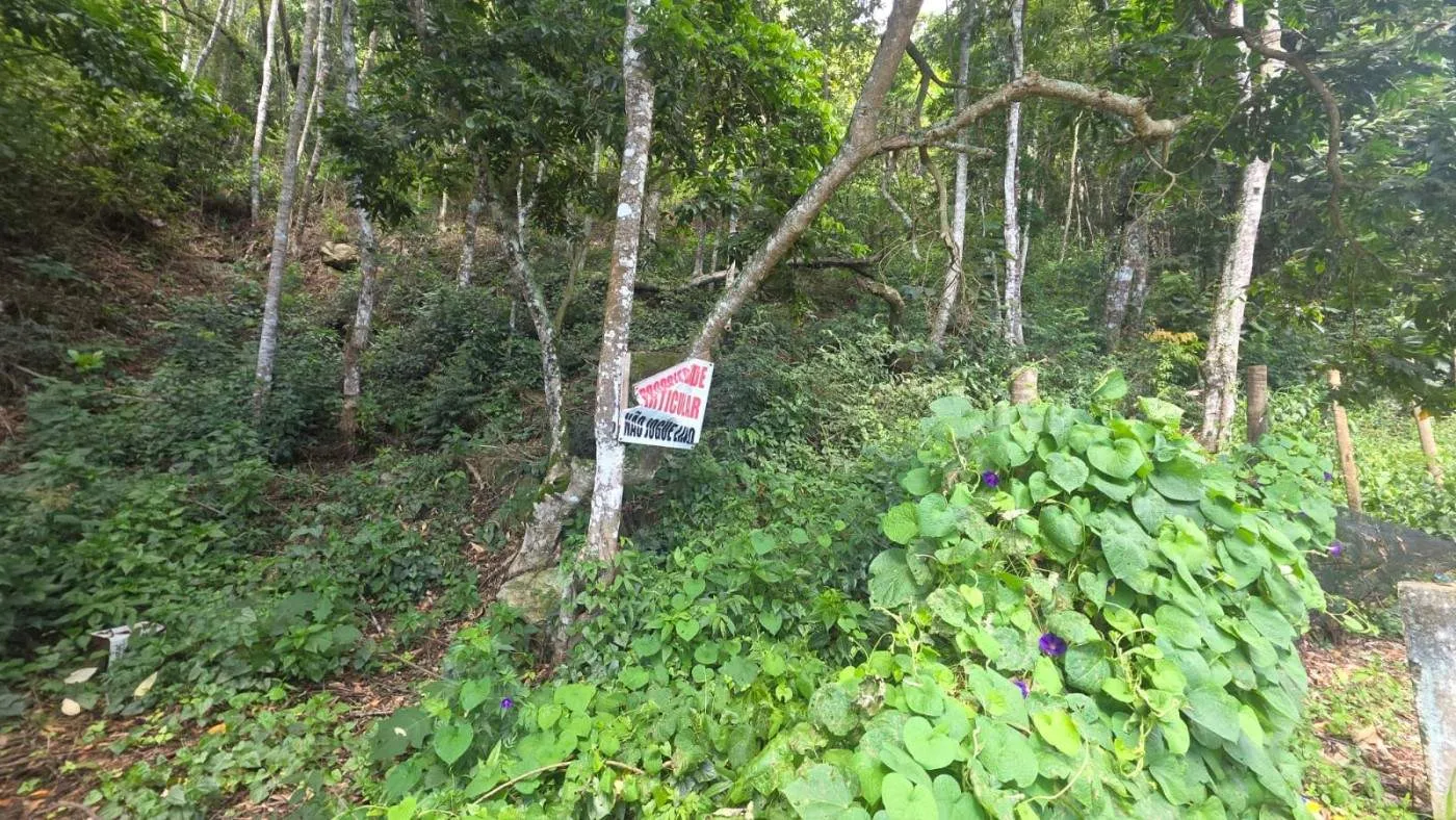 Imagem Terreno para Venda em Teresópolis / RJ no bairro Golfe