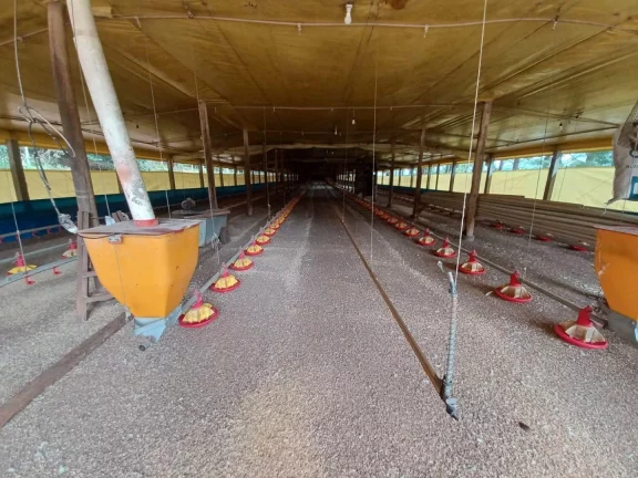 Imagem Área Agrícola para Venda em Ipumirim, Rural