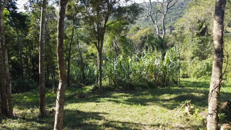 Imagem Terreno Espaçoso em Macacu, Garopaba-SC: 20 mil m², Vista para Lagoa e Mar