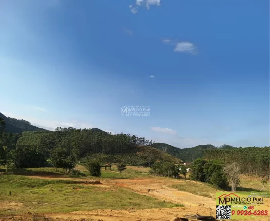 Imagem SITIO RURAL em TIJUCAS - SC, Oliveira